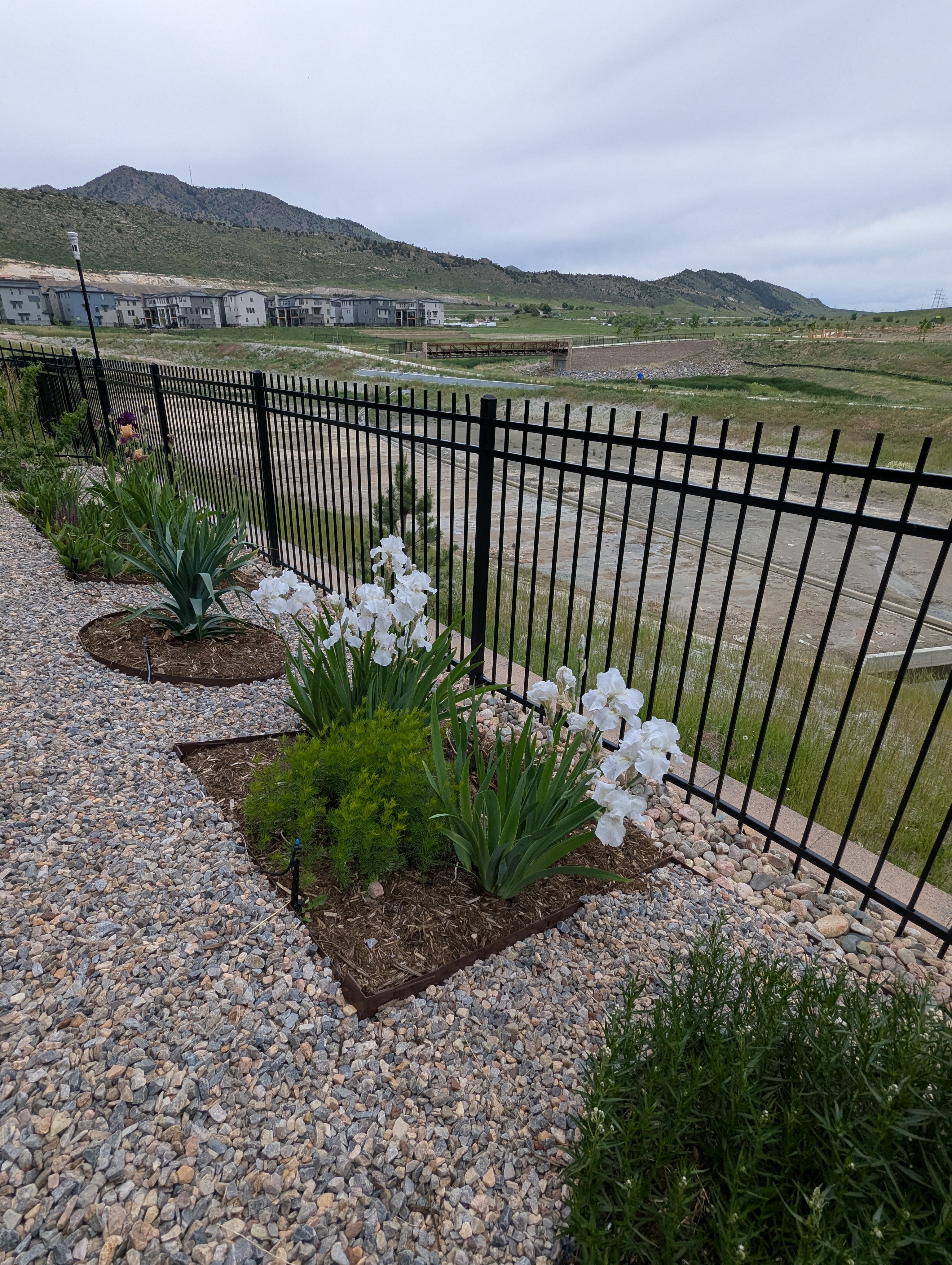 Garden, Flowers, Morrison, Colorado